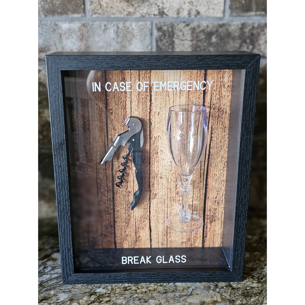 In Case of Emergency Break Glass Shadow Box Wine Decor Bar Wall Art 8x10